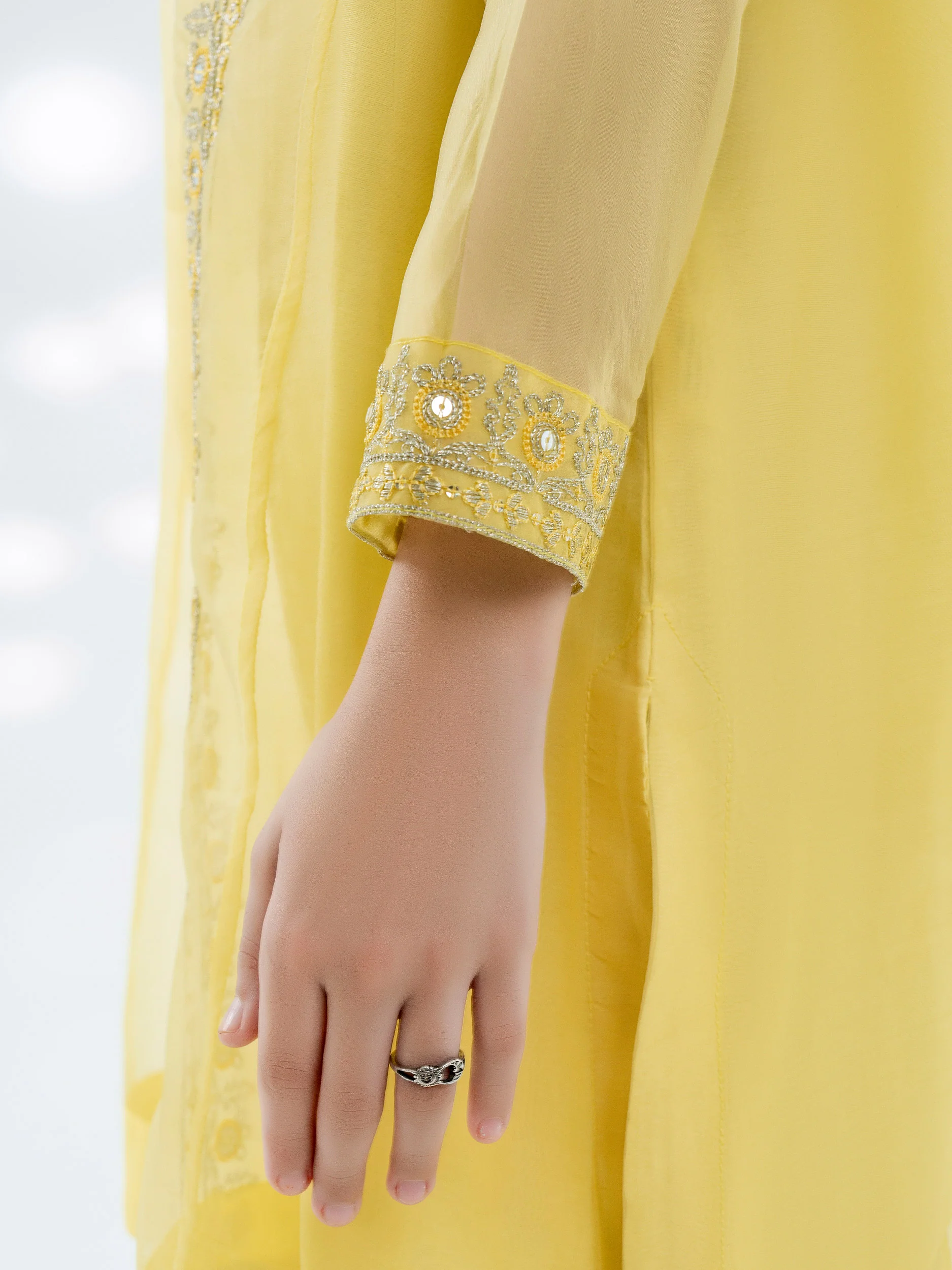 2 Piece Organza Suit-Embroidered - Image 7
