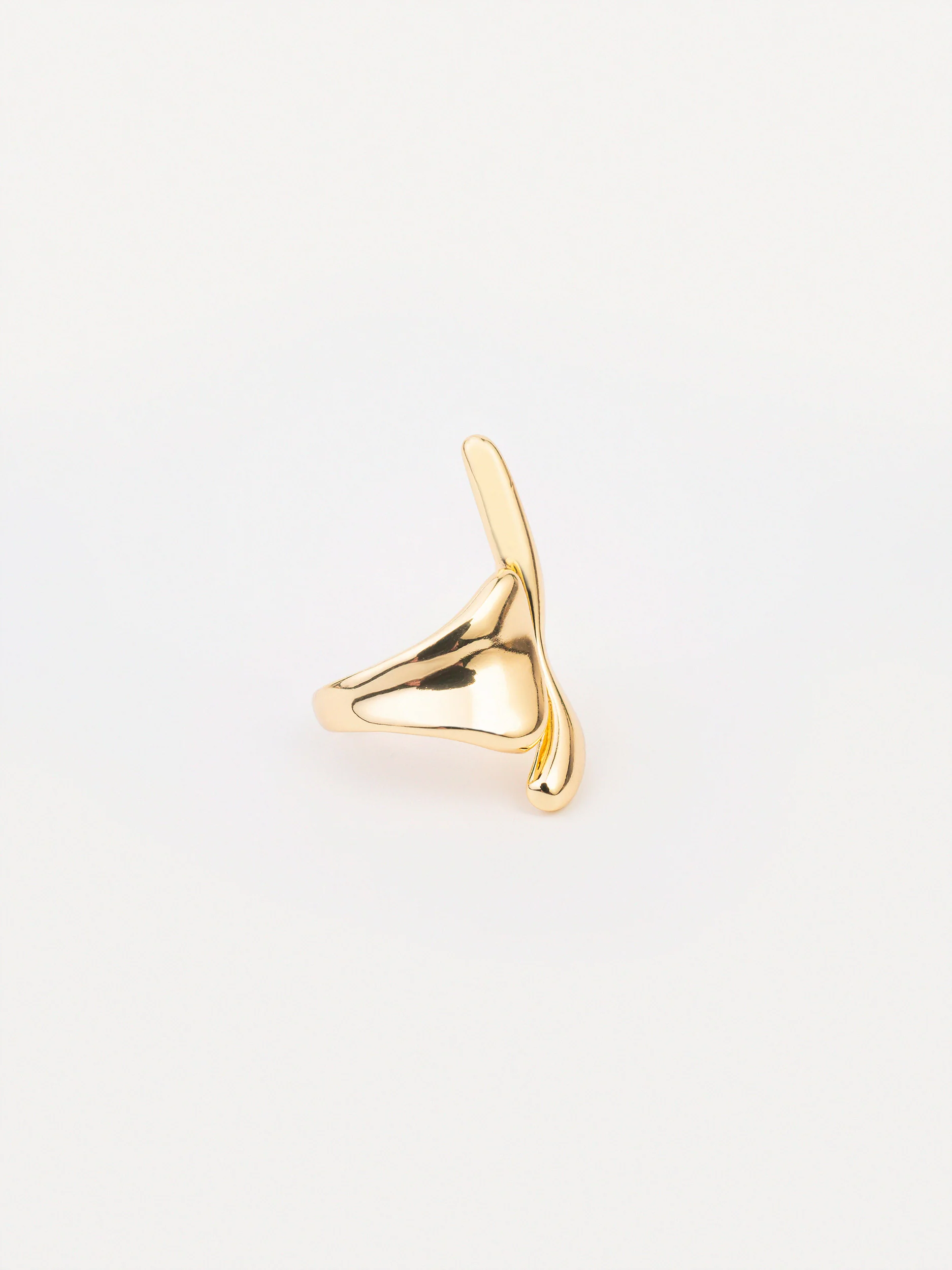 Abstract Ring - Image 2