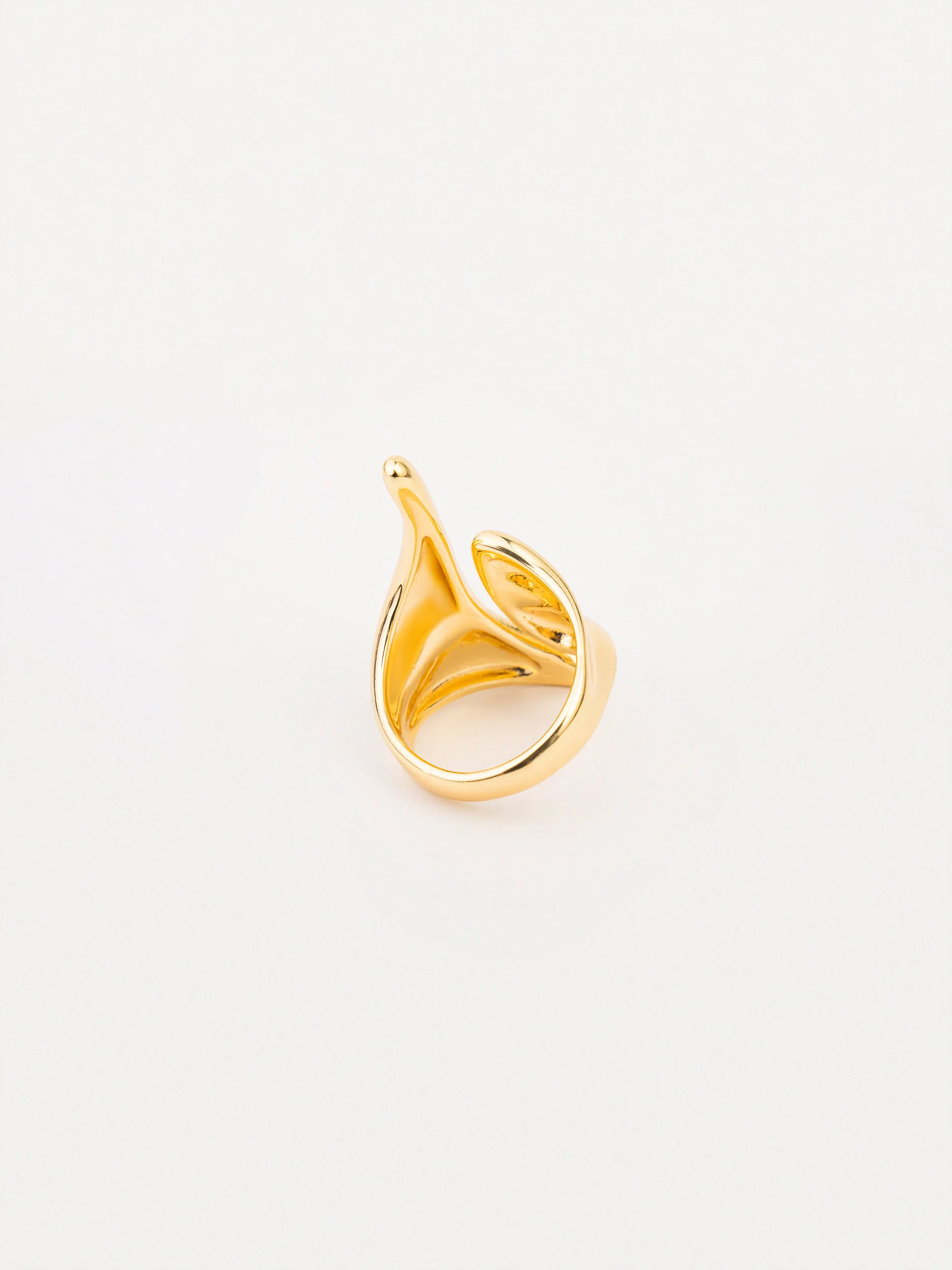 Abstract Ring - Image 3
