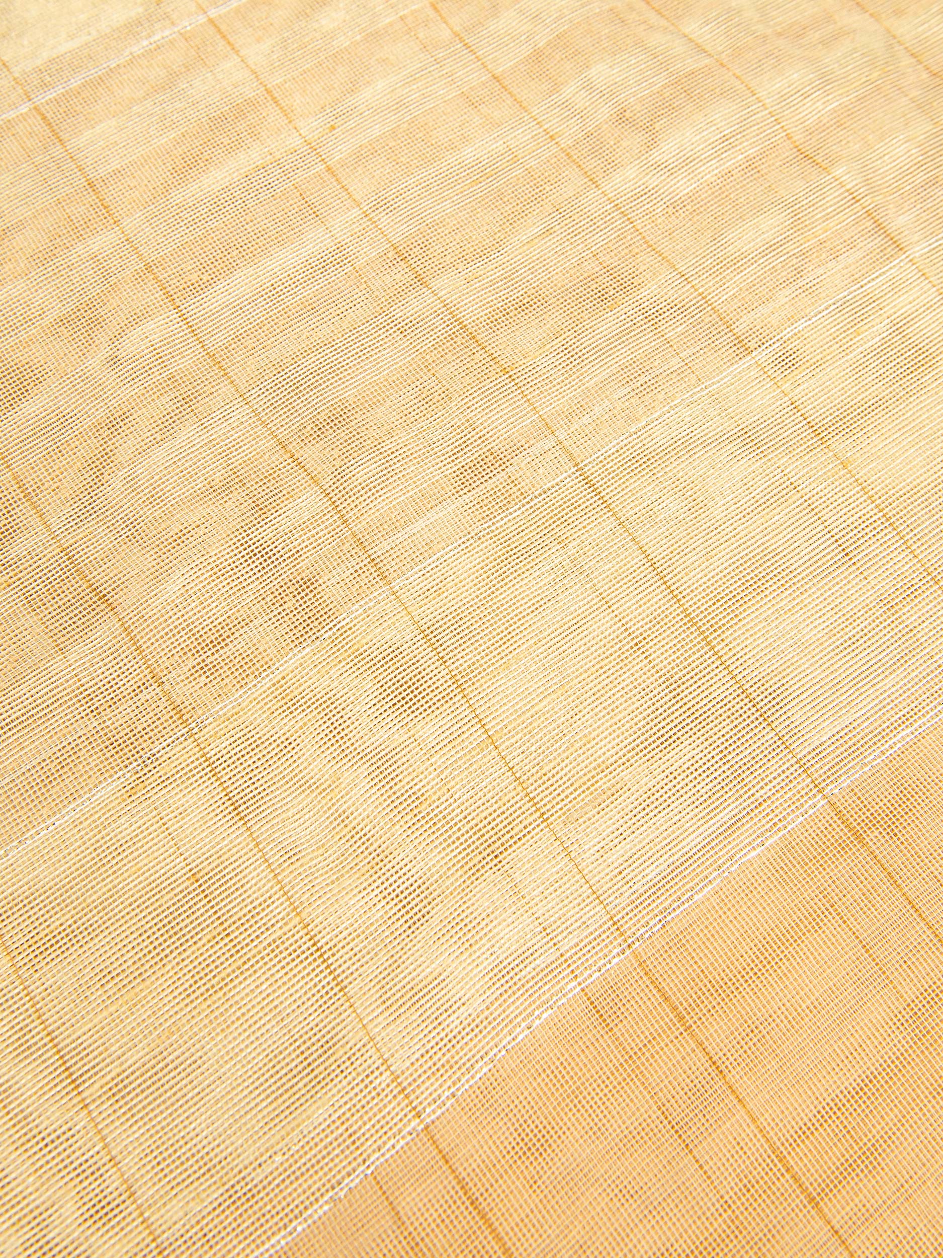 Golden Net Dupatta - Image 4