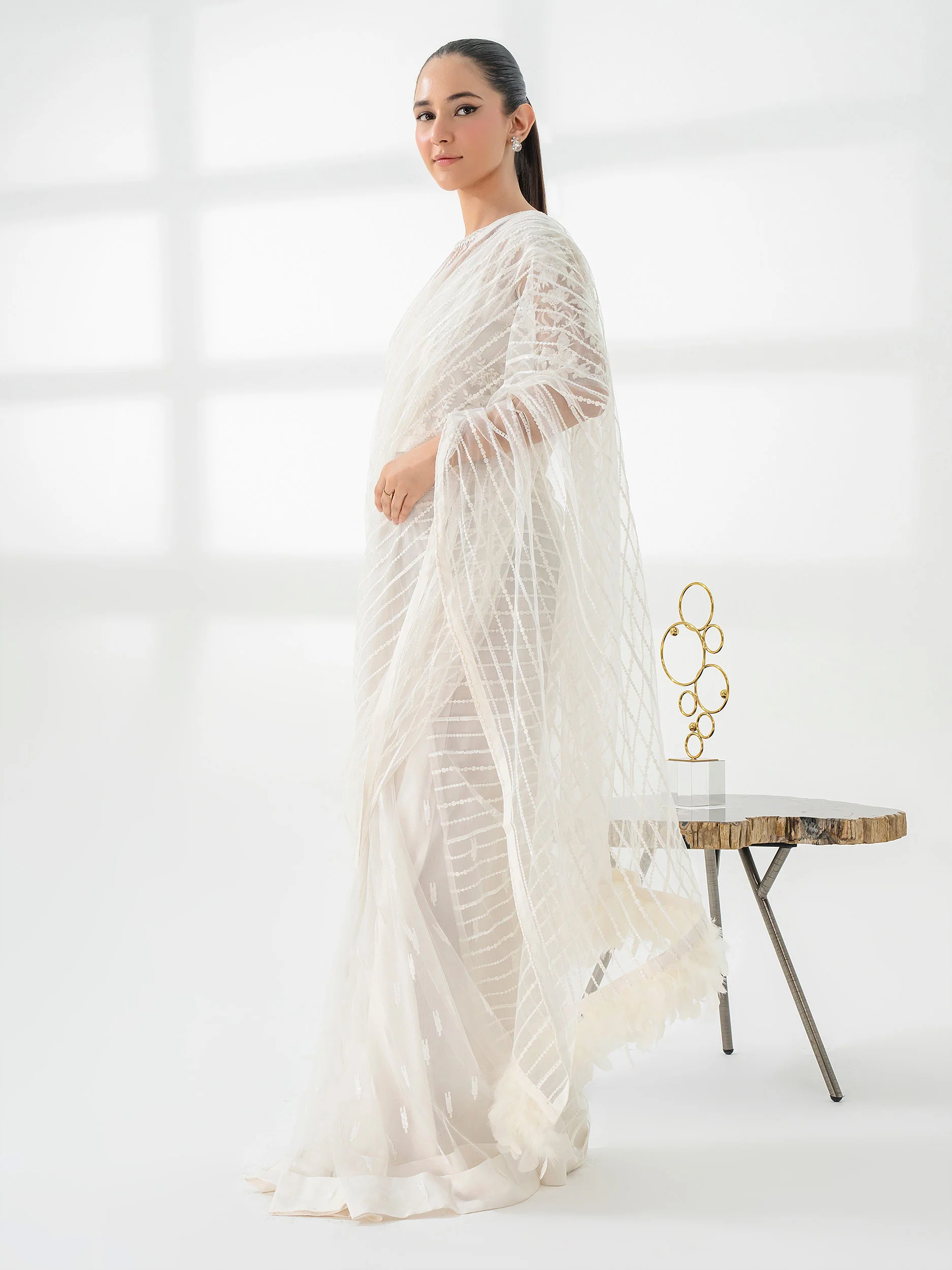 Net Saree-Embroidered (Pret) - Image 4